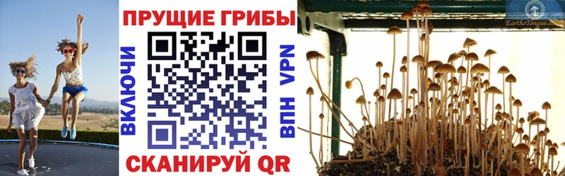 Купить закладки  Маркс  Псилоцибиновые грибы MAGIC MUSHROOMS 